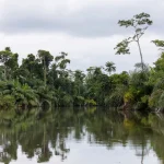 Loango National Park