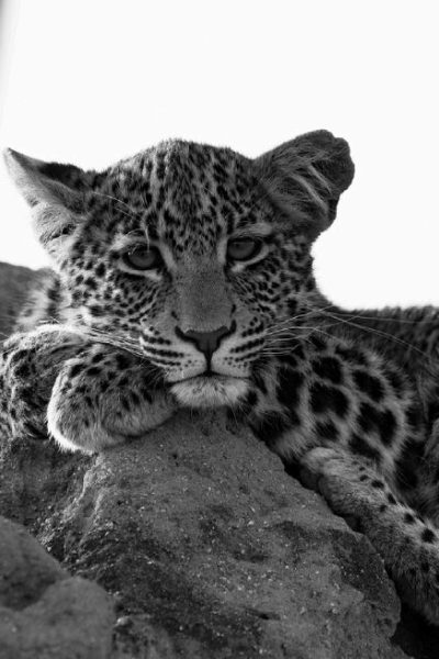 Issue 03 - April 2024 _page2_image